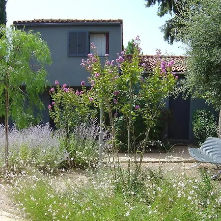 Blue Marine Tatil Evi