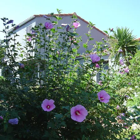 Holiday home Blue Marine *