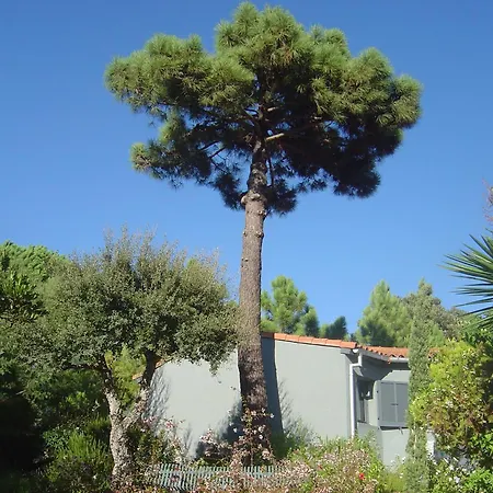 Holiday home Blue Marine