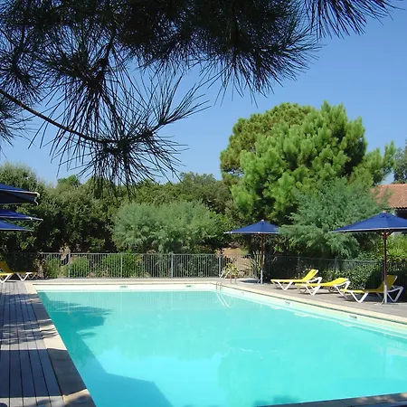 Blue Marine 포르토베쉬오