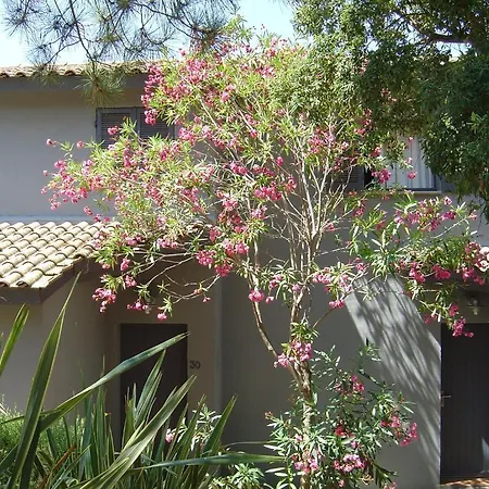 Blue Marine * 포르토베쉬오