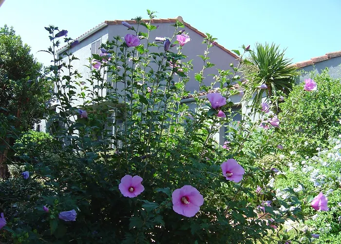 Casa vacanze Résidence Blue Marine *