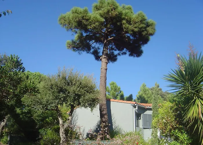 Casa vacanze Résidence Blue Marine