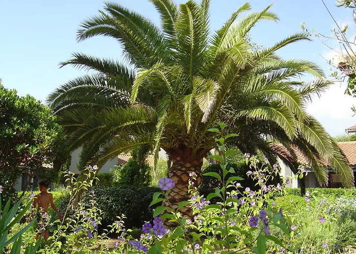 Résidence Blue Marine Porto Vecchio