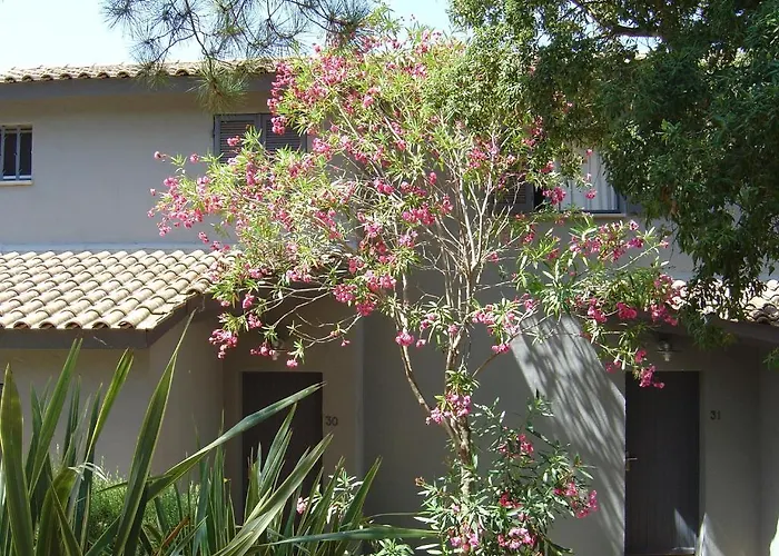 Blue Marine * Porto-Vecchio (Corsica)